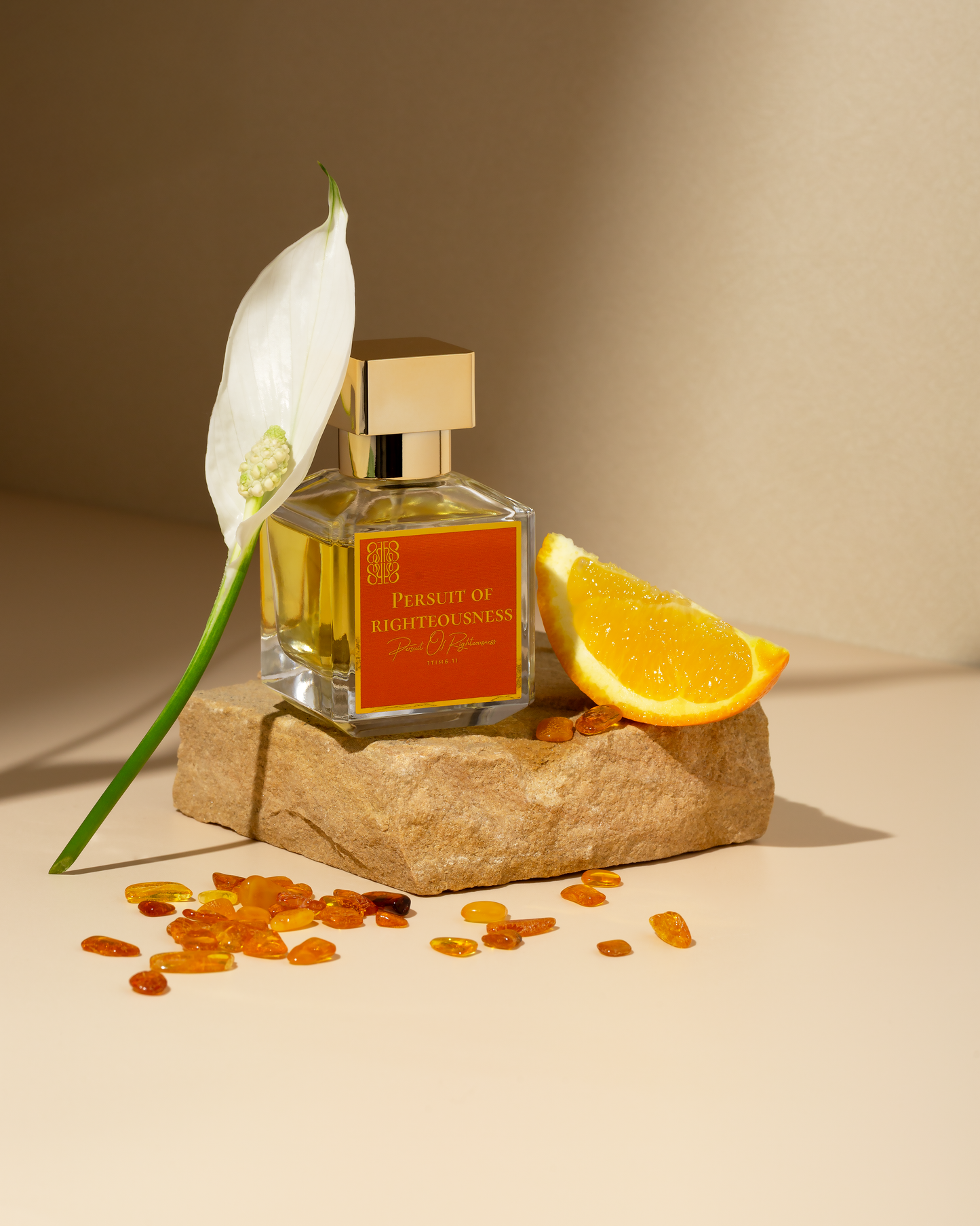 Pursuit Of Righteousness